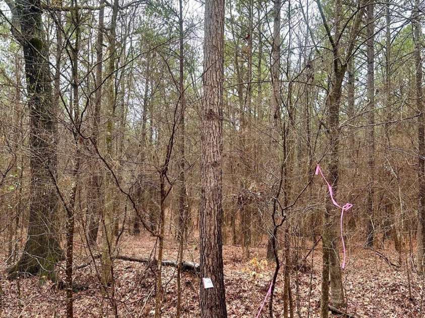 1176 Great Falls Highway, Chester, SC 29706.  MLS# CAR4199436, YatesRealty ID 740. 