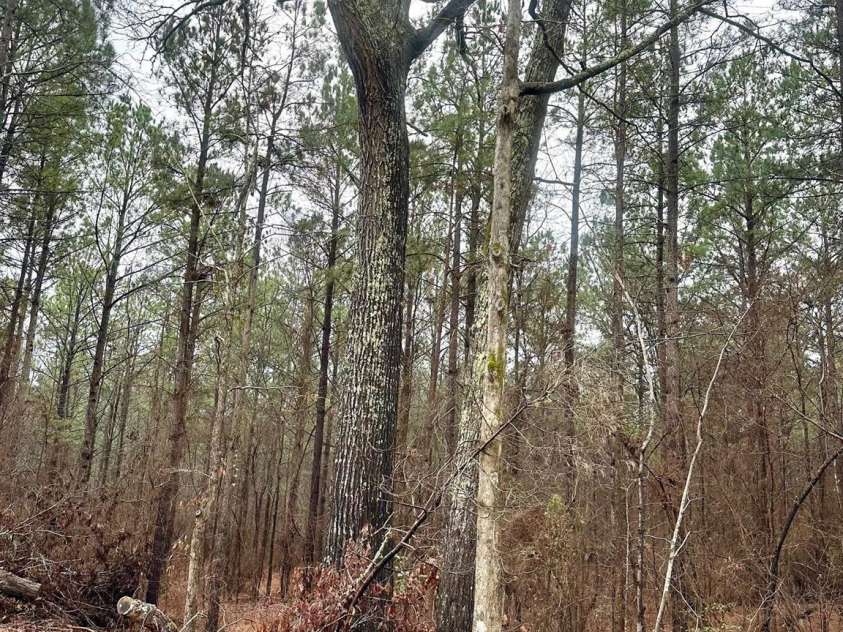 1178 Great Falls Highway, Chester, SC 29706.  MLS# CAR4199412, YatesRealty ID 741. 