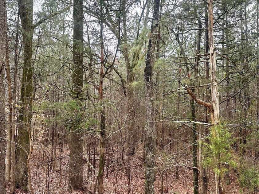 1178 Great Falls Highway, Chester, SC 29706.  MLS# CAR4199412, YatesRealty ID 741. 