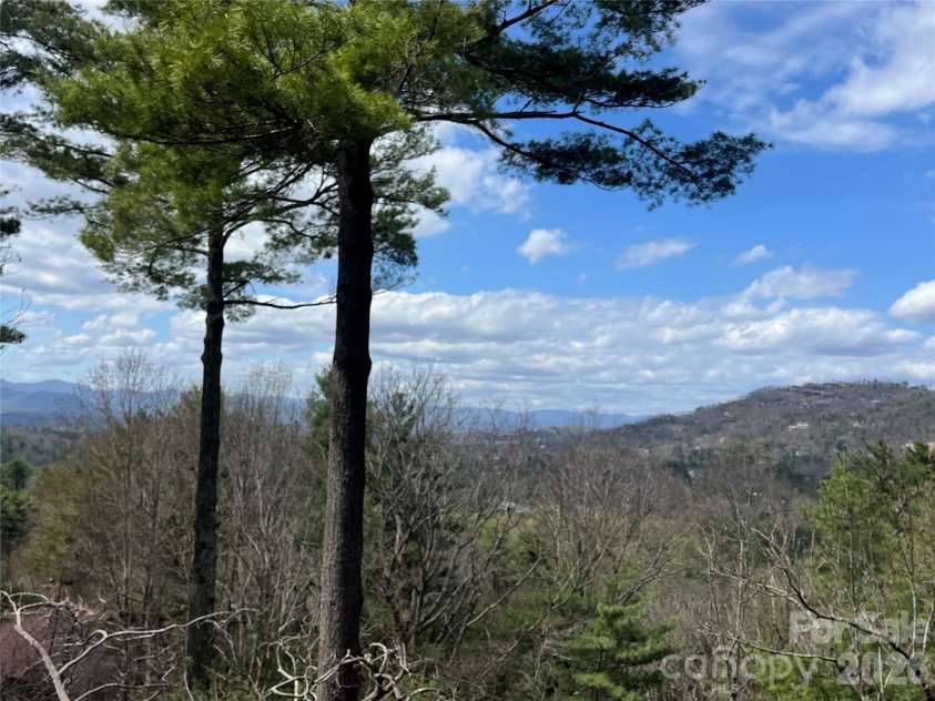 2902 Timber Trail, Asheville, NC 28804.  MLS# CAR4176254, YatesRealty ID 7425. 