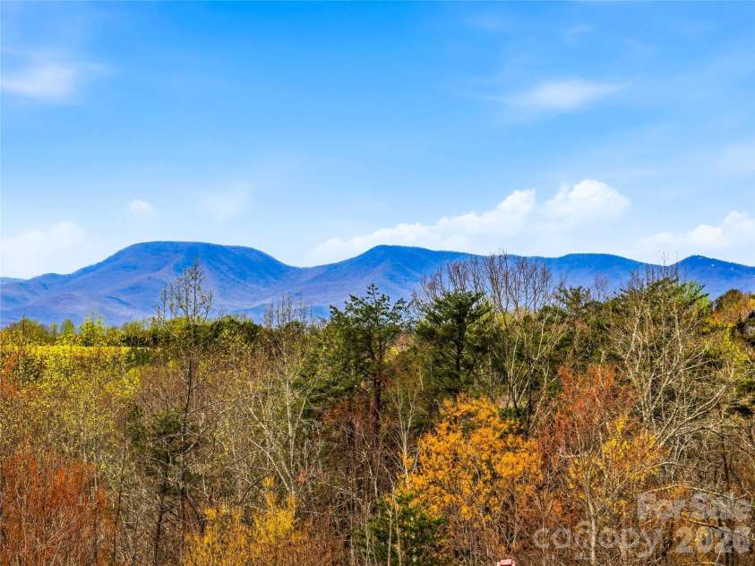 286 Preservation Trail, Columbus, NC 28722.  MLS# CAR4362617, YatesRealty ID 7430. 
