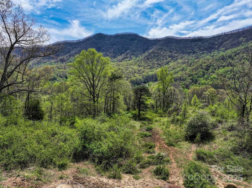 1567 Newfound Road, Leicester, NC 28748.  MLS# CAR4214973, YatesRealty ID 7479. Upper land