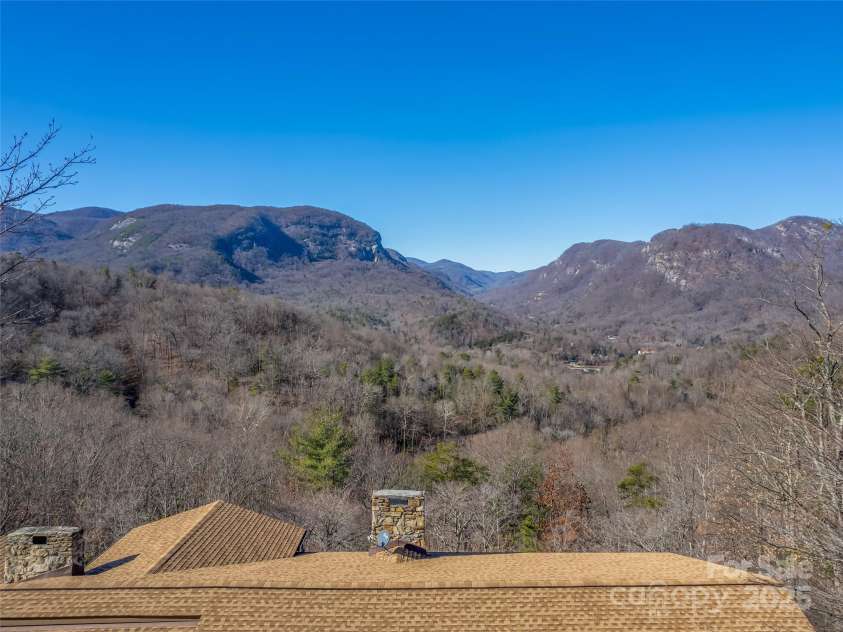 315 Thomas A Edison Road, Lake Lure, NC 28746.  MLS# CAR4287031, YatesRealty ID 750. 