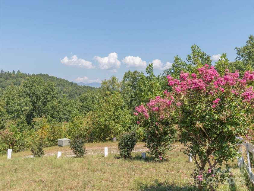 1120 Jacobs Branch Road, Franklin, NC 28734.  MLS# CAR4176894, YatesRealty ID 7545. Variety of fruit trees