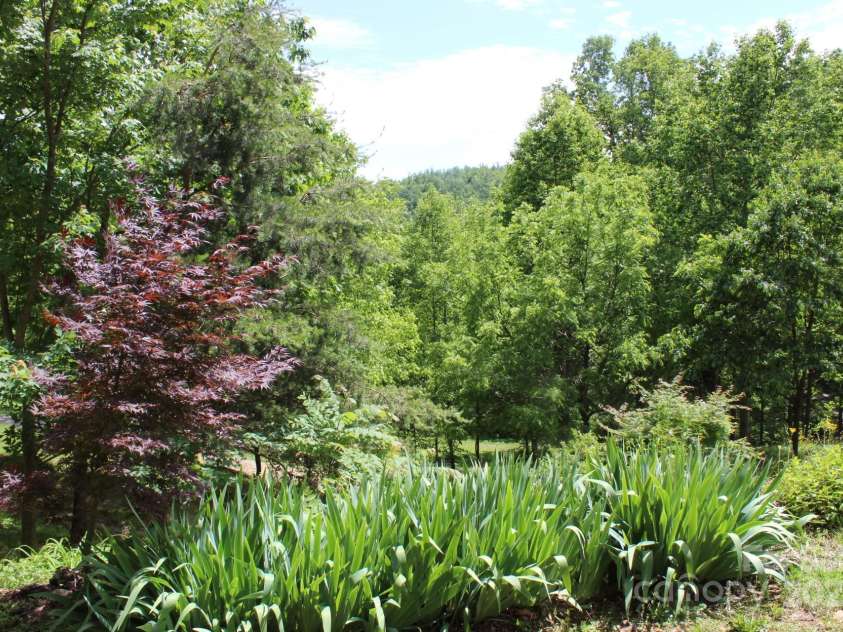 337 Roberson School Road, Moravian Falls, NC 28654.  MLS# CAR4241276, YatesRealty ID 7560. 