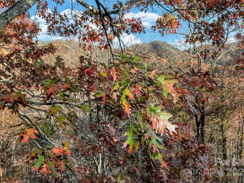 241 Fern Way, Black Mountain, NC 28711.  MLS# CAR4196971, YatesRealty ID 7601. Mountain view from the front porch and Primary porch.