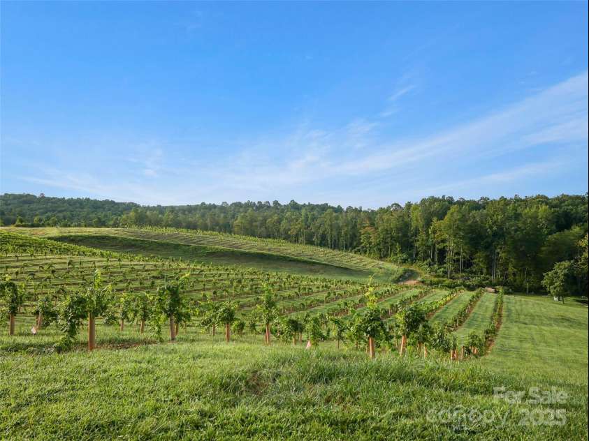 781 Payne Drive, Zirconia, NC 28790.  MLS# CAR4228620, YatesRealty ID 7640. 