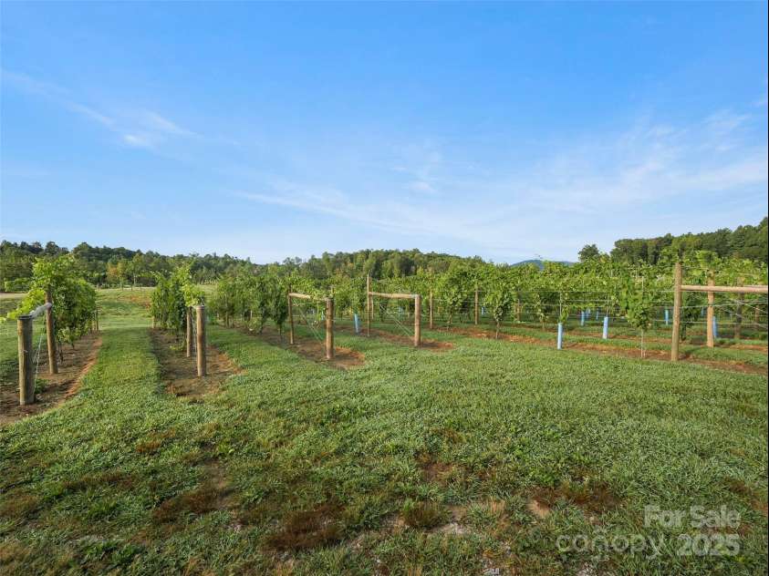 781 Payne Drive, Zirconia, NC 28790.  MLS# CAR4228620, YatesRealty ID 7640. 