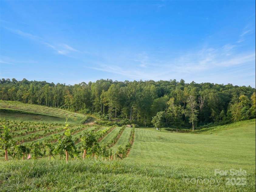 781 Payne Drive, Zirconia, NC 28790.  MLS# CAR4228620, YatesRealty ID 7640. 