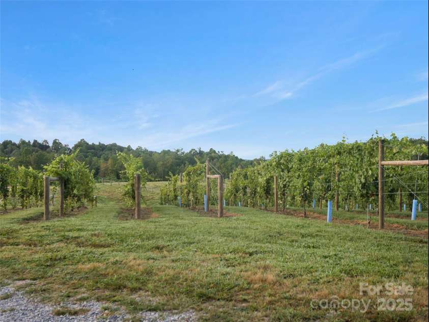 781 Payne Drive, Zirconia, NC 28790.  MLS# CAR4228620, YatesRealty ID 7640. 