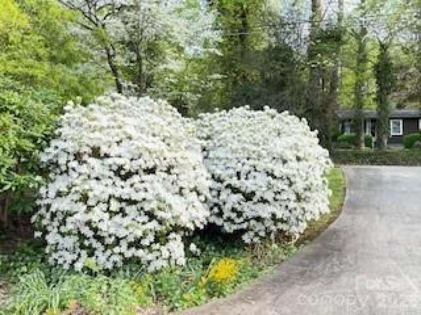 41 Balsam Shadows Drive, Maggie Valley, NC 28751.  MLS# CAR4362507, YatesRealty ID 7652. 