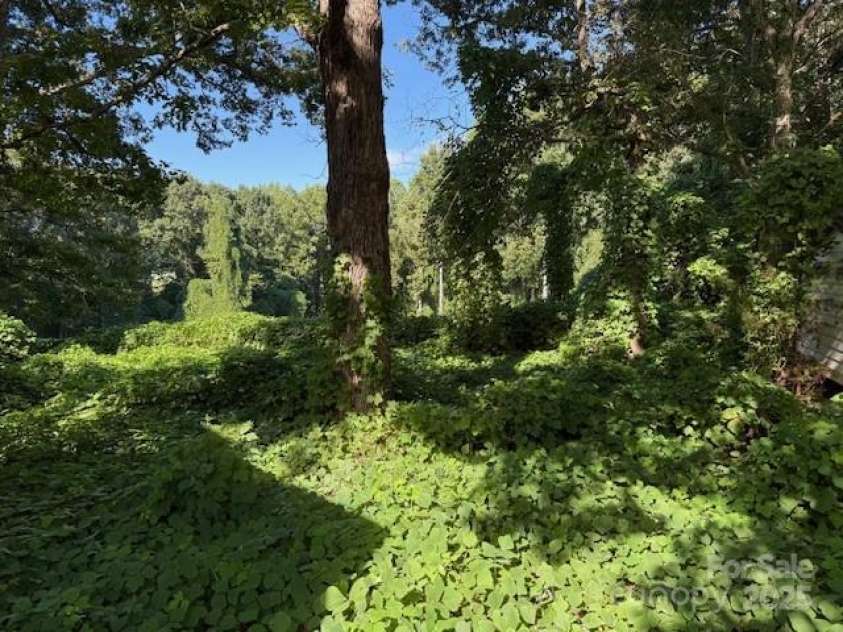 1753 Nc 16 Highway, Denver, NC 28037.  MLS# CAR4296061, YatesRealty ID 77. 