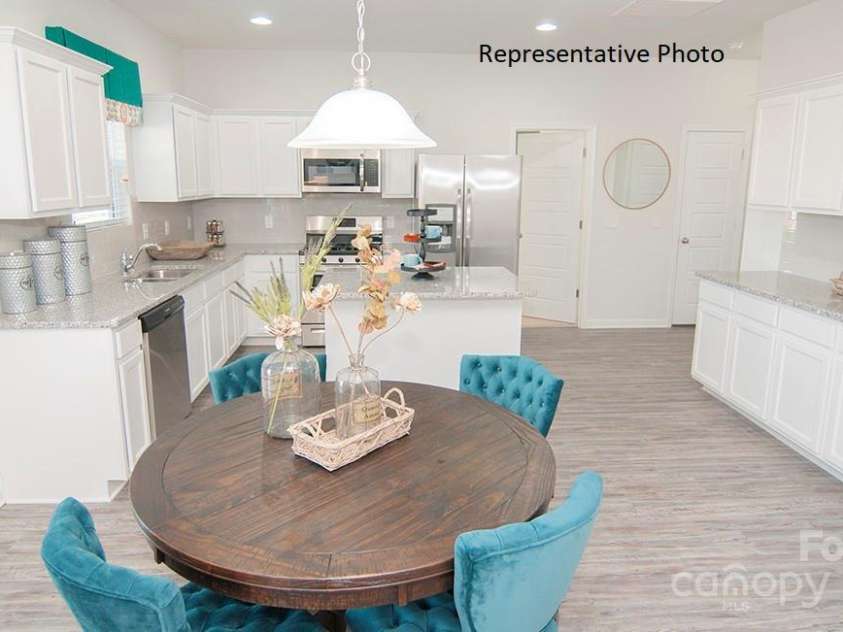 195 Giant Oak Avenue, Statesville, NC 28677.  MLS# CAR4209613, YatesRealty ID 775. Home will have sleek led lighting!