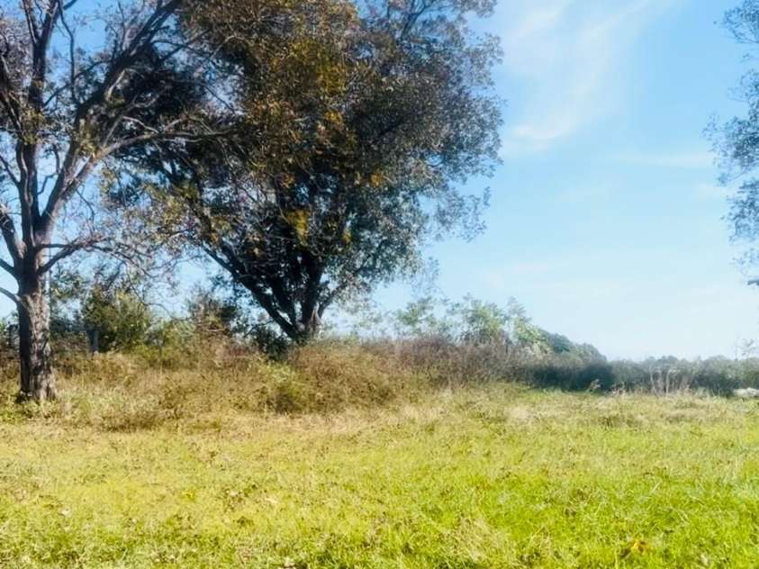 5304 State Line Road, Marshville, NC 28103.  MLS# CAR4199229, YatesRealty ID 7801. 