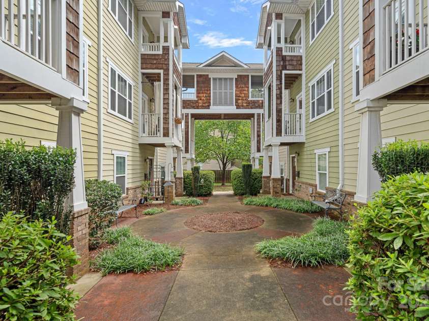 1733-C Matheson Avenue, Charlotte, NC 28205.  MLS# CAR4213118, YatesRealty ID 7802. Beautiful Setting