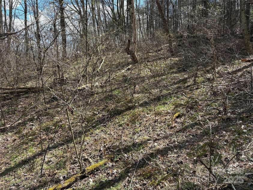 8951 US 25/70 Highway, Marshall, NC 28753.  MLS# CAR4244987, YatesRealty ID 7803. 