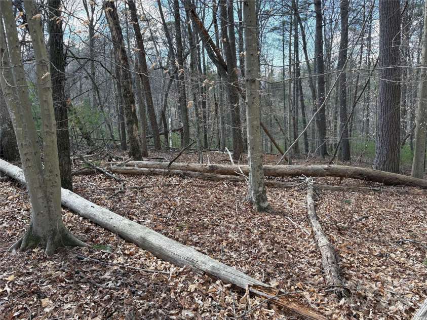 8951 US 25/70 Highway, Marshall, NC 28753.  MLS# CAR4244987, YatesRealty ID 7803. 