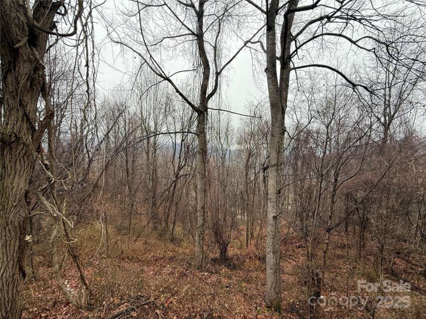 201 Mountain Vista Road, Canton, NC 28716.  MLS# CAR4328176, YatesRealty ID 7890. 