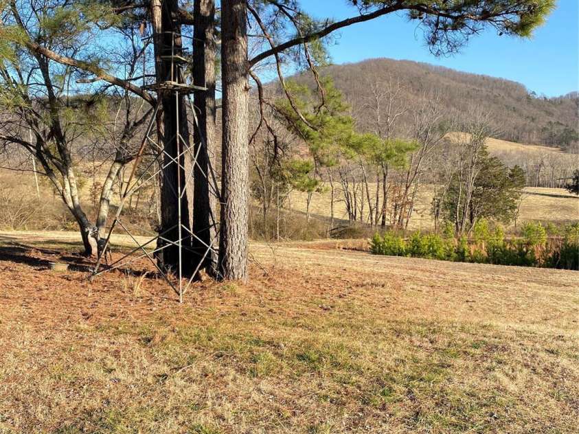 1180 Calton Road, Bostic, NC 28018.  MLS# CAR4219512, YatesRealty ID 7982. 