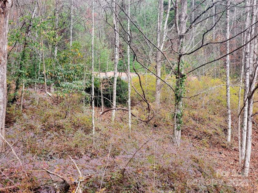 2701 Gouges Creek Road, Spruce Pine, NC 28777.  MLS# CAR4198826, YatesRealty ID 7985. 