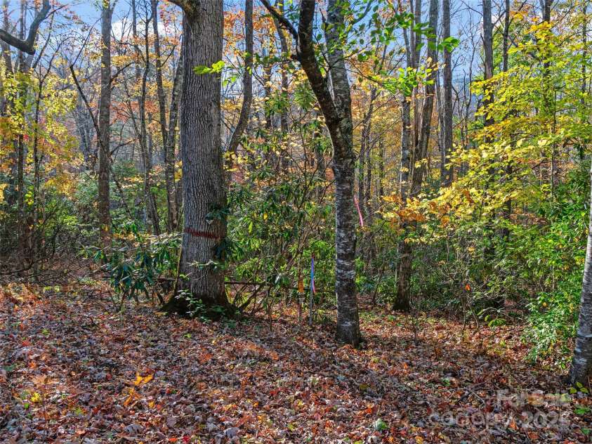 219 Raven Rock Lane, Burnsville, NC 28714.  MLS# CAR4314429, YatesRealty ID 801. 