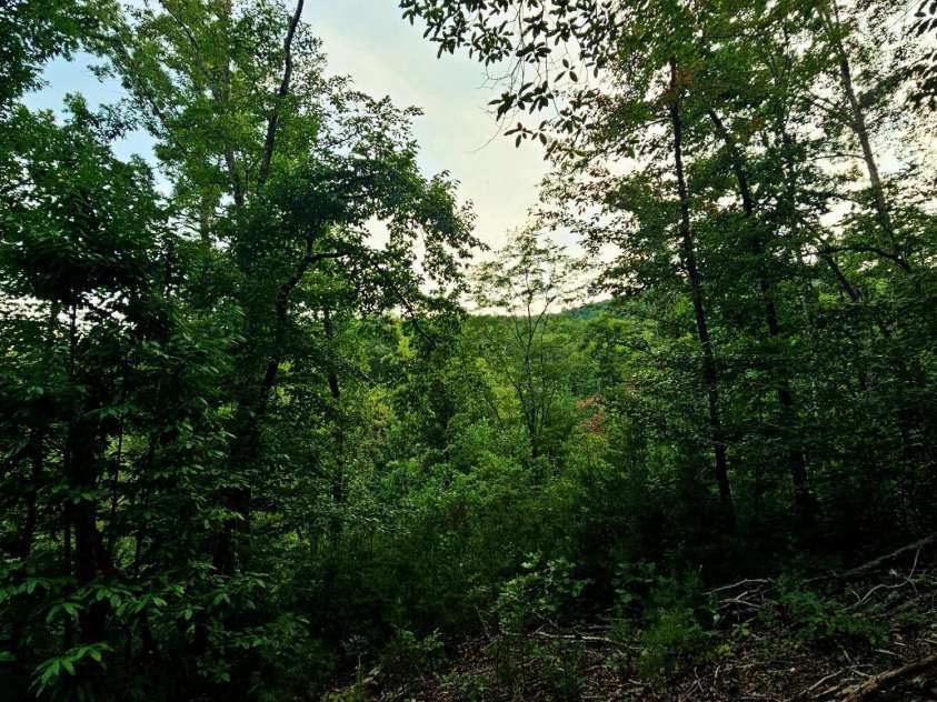 823 Silver Creek Road, Mill Spring, NC 28756.  MLS# CAR4061627, YatesRealty ID 8011. 