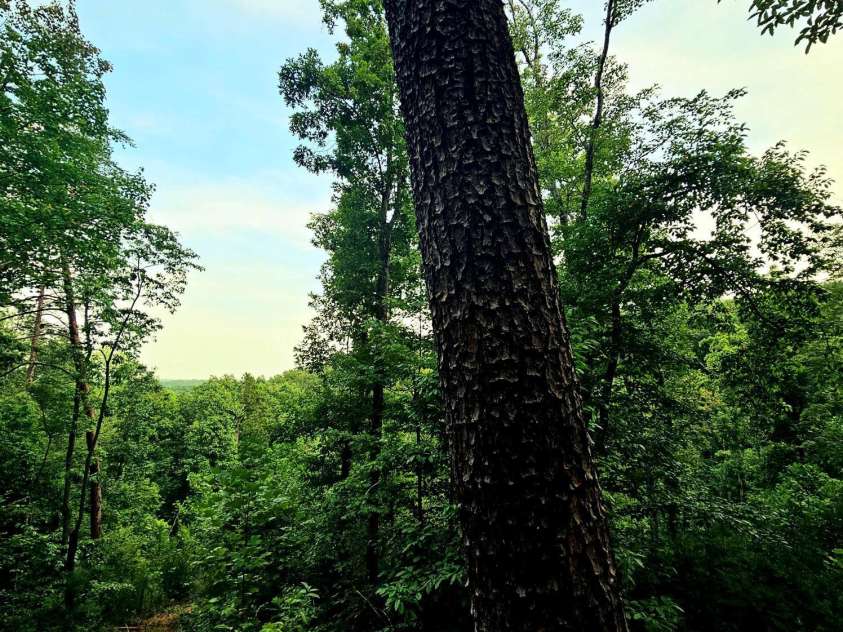 823 Silver Creek Road, Mill Spring, NC 28756.  MLS# CAR4061627, YatesRealty ID 8011. 