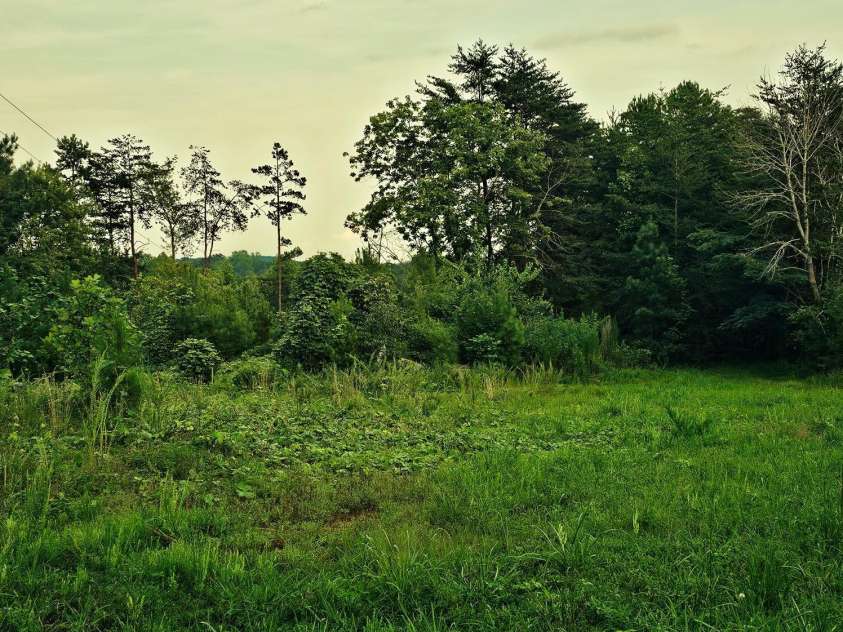 823 Silver Creek Road, Mill Spring, NC 28756.  MLS# CAR4061627, YatesRealty ID 8011. 