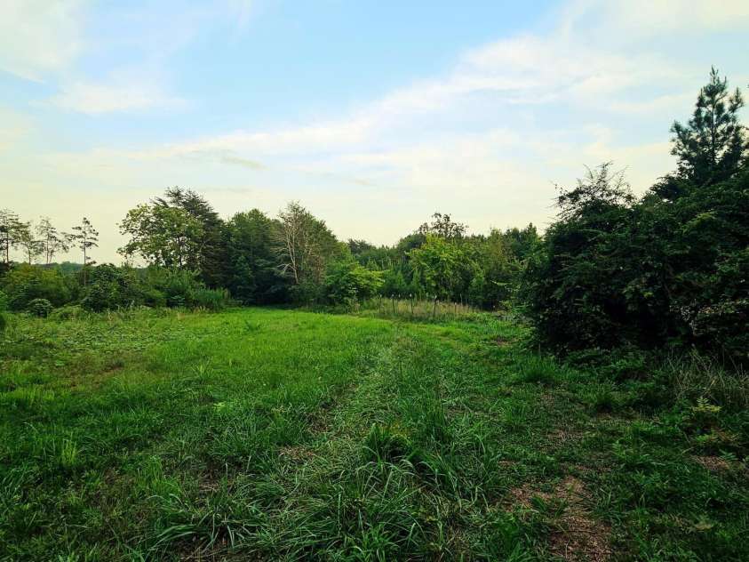 823 Silver Creek Road, Mill Spring, NC 28756.  MLS# CAR4061627, YatesRealty ID 8011. 