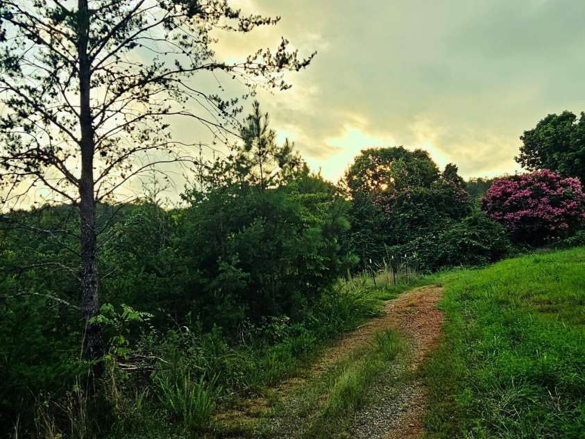 823 Silver Creek Road, Mill Spring, NC 28756.  MLS# CAR4061627, YatesRealty ID 8011. 