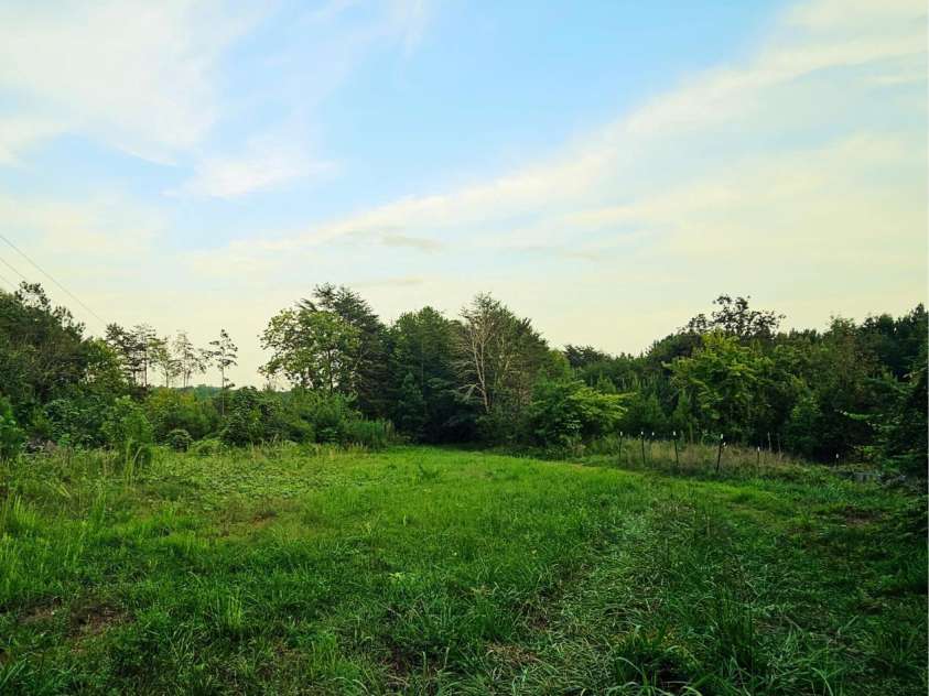 823 Silver Creek Road, Mill Spring, NC 28756.  MLS# CAR4061627, YatesRealty ID 8011. 