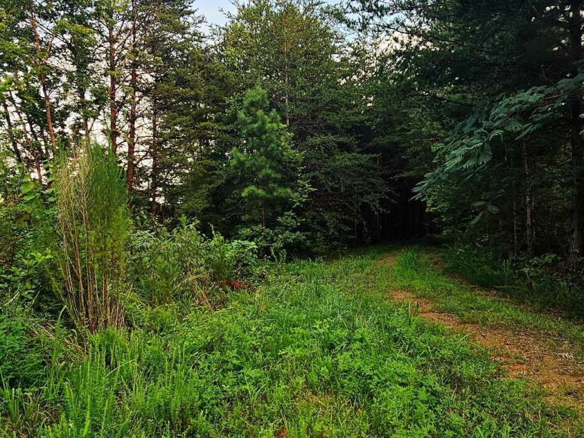 823 Silver Creek Road, Mill Spring, NC 28756.  MLS# CAR4061627, YatesRealty ID 8011. 