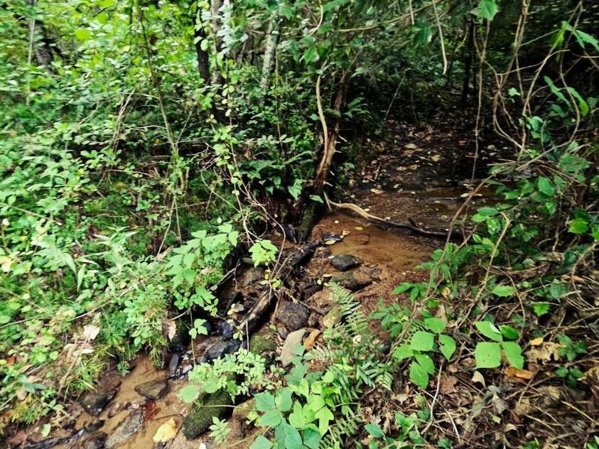 823 Silver Creek Road, Mill Spring, NC 28756.  MLS# CAR4061627, YatesRealty ID 8011. Crick flowing below the old farmhouse, a little clean up and enjoy this!!!