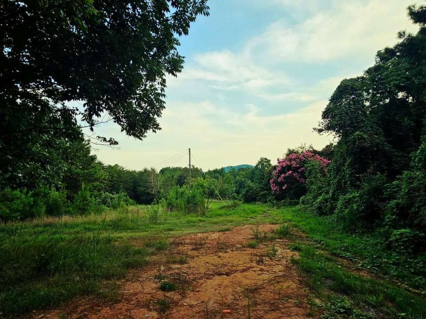 823 Silver Creek Road, Mill Spring, NC 28756.  MLS# CAR4061627, YatesRealty ID 8011. Winter mountain views that open up and as you go up the old roads, you can really see them, too!