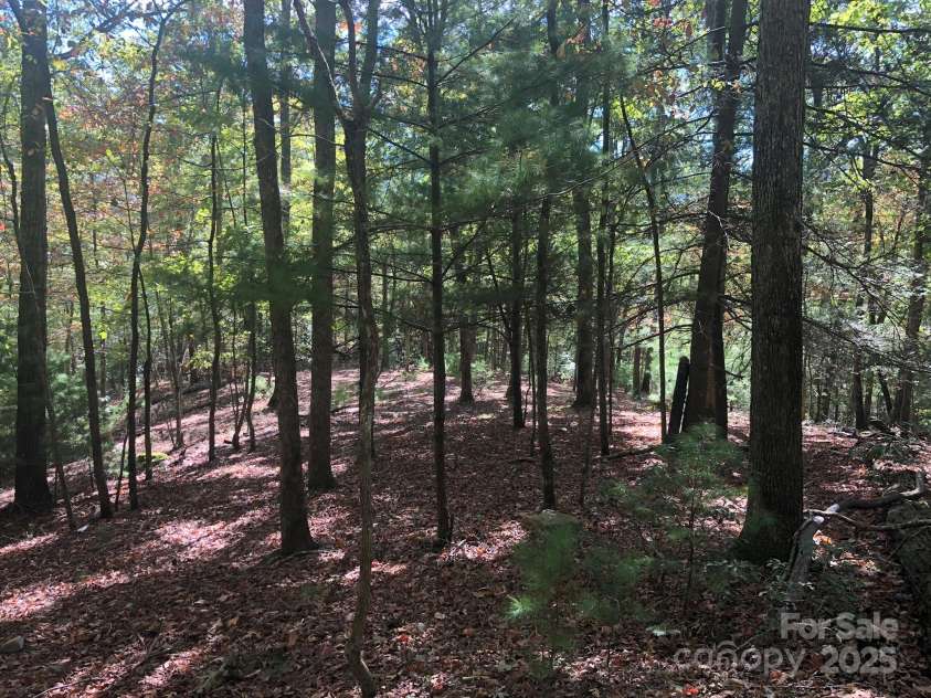 3076 Anderson Cove Road, Marshall, NC 28753.  MLS# CAR4212161, YatesRealty ID 8020. 