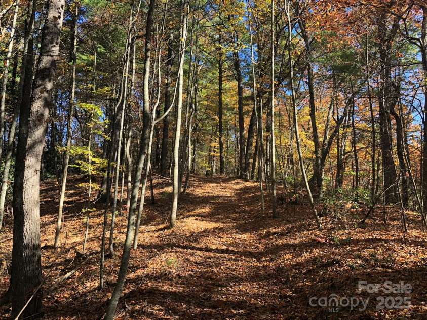 3076 Anderson Cove Road, Marshall, NC 28753.  MLS# CAR4212161, YatesRealty ID 8020. 