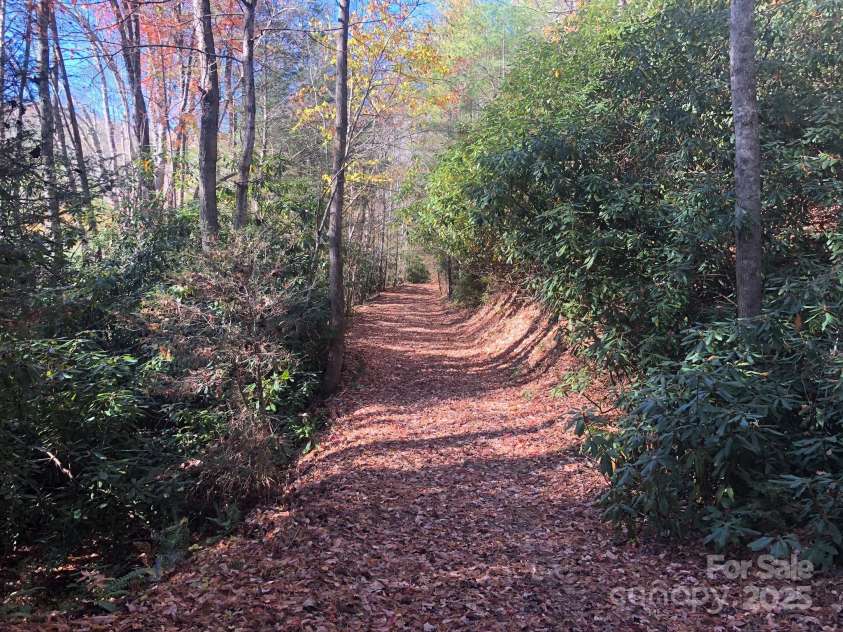 3076 Anderson Cove Road, Marshall, NC 28753.  MLS# CAR4212161, YatesRealty ID 8020. Trails
