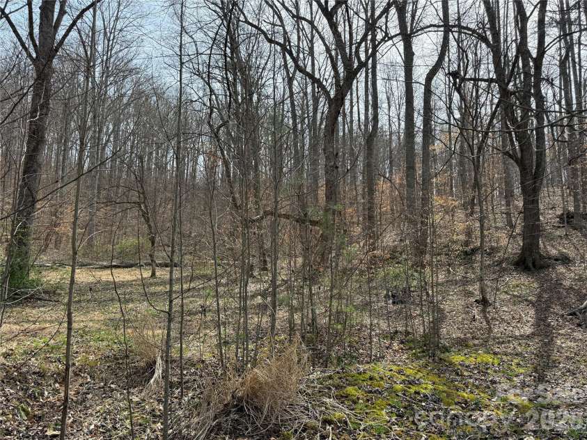 57 Fork Road, Barnardsville, NC 28709.  MLS# CAR4334387, YatesRealty ID 8038. Peaceful wooded setting.