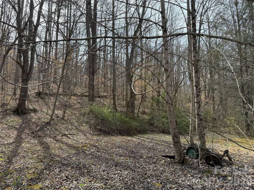 57 Fork Road, Barnardsville, NC 28709.  MLS# CAR4334387, YatesRealty ID 8038. Sloping land with several building sites.