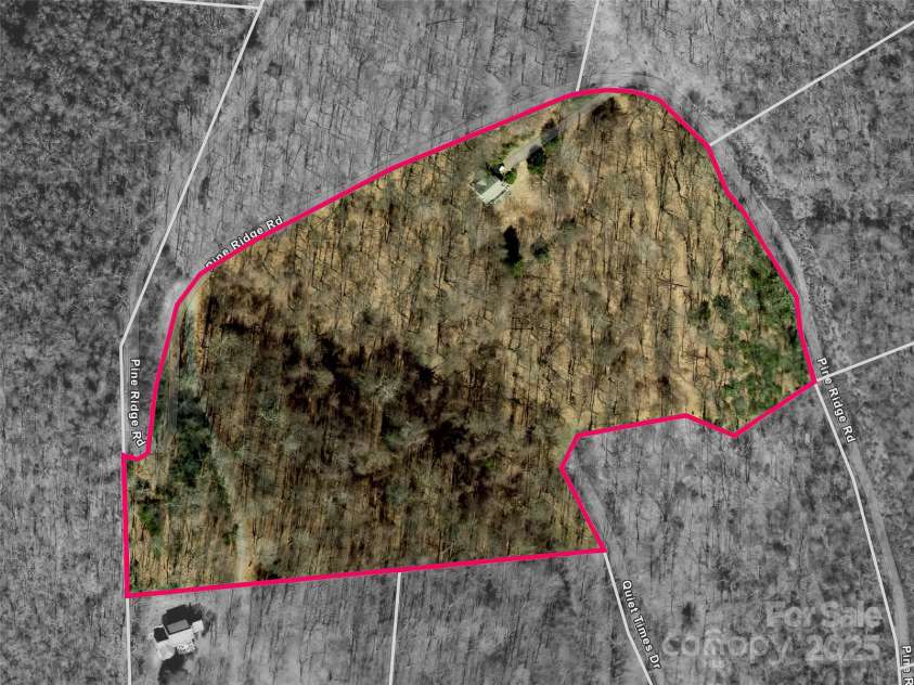 1299 Pine Ridge Road, Burnsville, NC 28714.  MLS# CAR4306270, YatesRealty ID 8091. 9 acres of pure wilderness