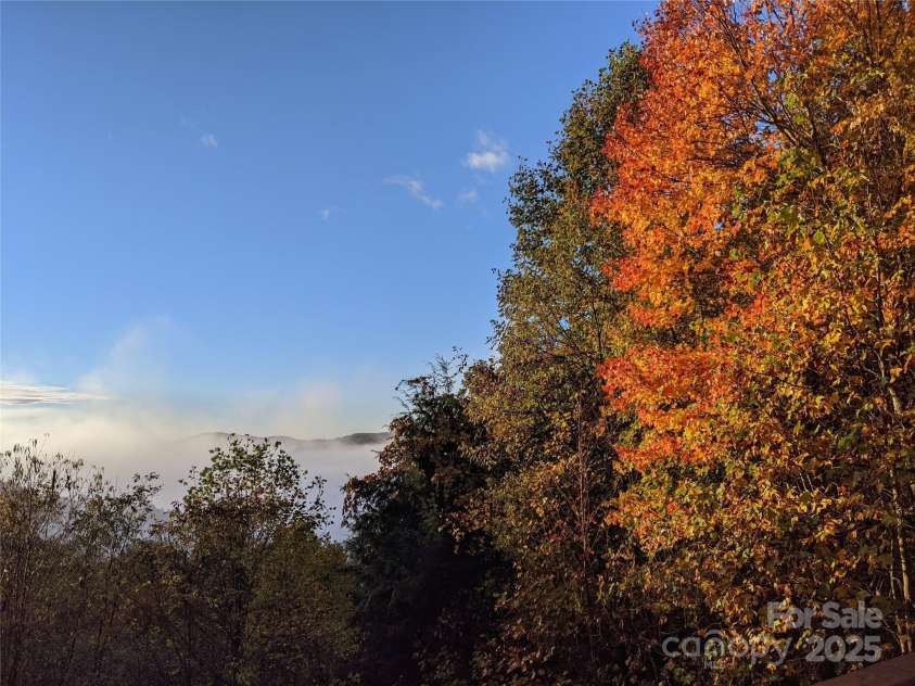1299 Pine Ridge Road, Burnsville, NC 28714.  MLS# CAR4306270, YatesRealty ID 8091. Fall colors are right around the corner