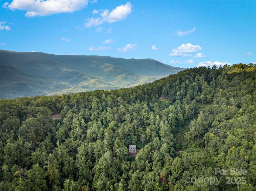 1299 Pine Ridge Road, Burnsville, NC 28714.  MLS# CAR4306270, YatesRealty ID 8091. Tucked away in Pisgah National Forest with wild animals as your neighbors