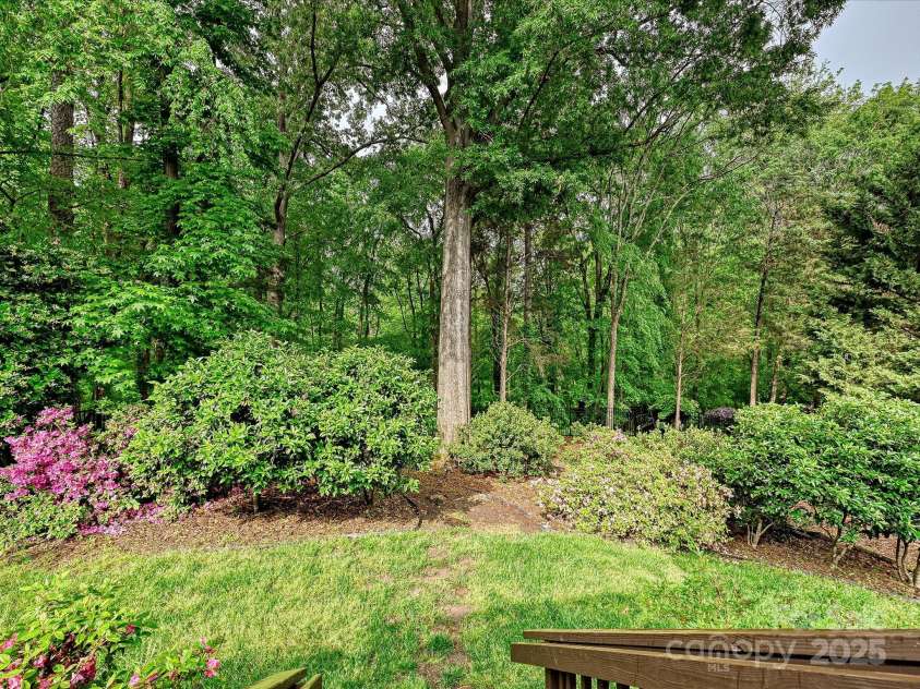 8623 Tullamore Park Circle, Charlotte, NC 28226.  MLS# CAR4242988, YatesRealty ID 8107. Amazing FENCED backyard full of gorgeous plantings