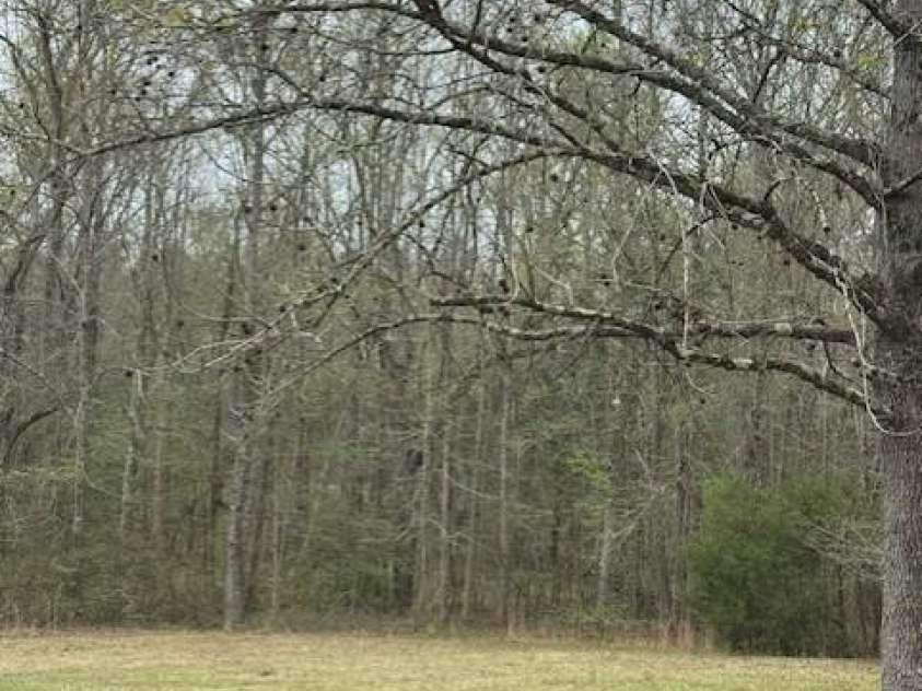 1216 Raxter Road, Edgemoor, SC 29712.  MLS# CAR4363685, YatesRealty ID 8110. 