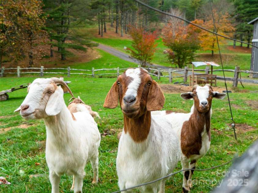 342 Big Rock Creek Drive, Bakersville, NC 28705.  MLS# CAR4329750, YatesRealty ID 8121. 