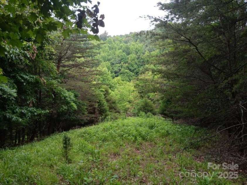 2255 NC Hwy 268 Highway, Wilkesboro, NC 28697.  MLS# CAR4280174, YatesRealty ID 815. 