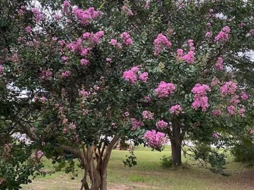 3702 Jonesville Lockhart Highway, Union, SC 29739.  MLS# CAR4270162, YatesRealty ID 818. 