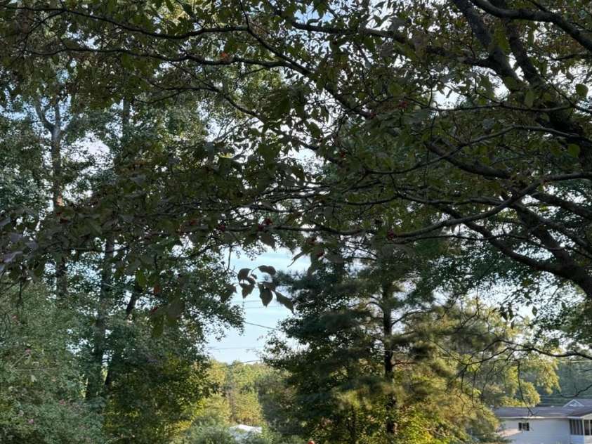 3702 Jonesville Lockhart Highway, Union, SC 29739.  MLS# CAR4270162, YatesRealty ID 818. 