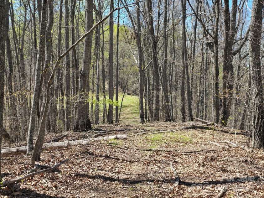 318 Brown Mountain Drive, Cullowhee, NC 28723.  MLS# CAR4235887, YatesRealty ID 8200. Old road bed/trail connecting the numerous old homesites on the mountain