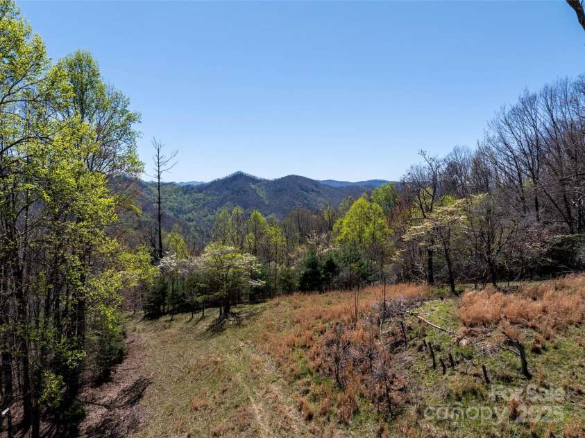 318 Brown Mountain Drive, Cullowhee, NC 28723.  MLS# CAR4235887, YatesRealty ID 8200. Old road bed/trail connecting the numerous old homesites on the mountain